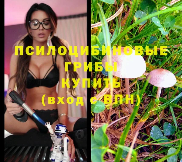 герыч Арсеньев