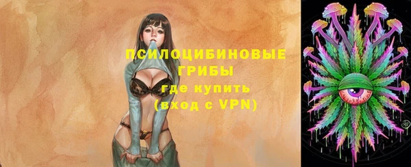 крисы Армянск