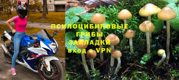 метадон Аркадак