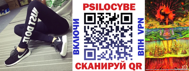 как найти наркотики  Нововоронеж  Псилоцибиновые грибы мицелий 